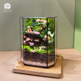 Terrarium