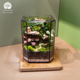 Terrarium