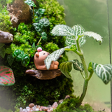 Terrarium