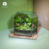 Terrarium Mossoria