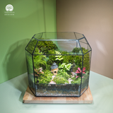 Terrarium Mossoria