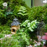 Terrarium Mossoria