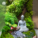 Terrarium Emerald Refuge