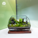 Terrarium Ivory Gallop
