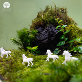 Terrarium Ivory Gallop