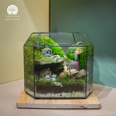 Terrarium Hidden Little Village - Bể Đa Giác Ngang - Trang Trí Góc Tủ
