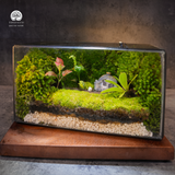 Terrarium