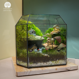 Terrarium