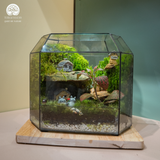 Terrarium