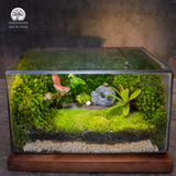 Terrarium