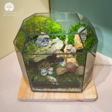 Terrarium