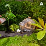 Terrarium