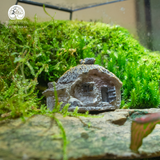 Terrarium