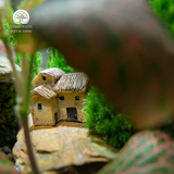 Terrarium