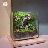 Terrarium