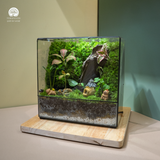 Terrarium