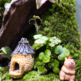 Terrarium