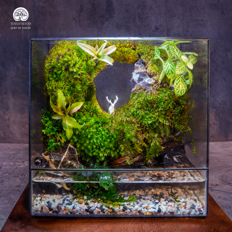 Terrarium An Nhiên - Bể Chữ Nhật Đứng - Decor Góc Làm Việc