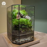 Terrarium
