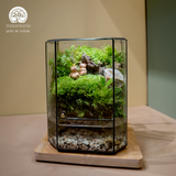 Terrarium