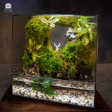 Terrarium An Nhiên - Bể Chữ Nhật Đứng - Decor Góc Làm Việc