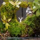 Terrarium An Nhiên - Bể Chữ Nhật Đứng - Decor Góc Làm Việc