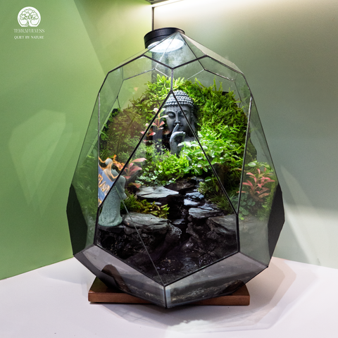 Zen Terrarium Thiền Tuyền Cảnh - Bể Đa Giác Trứng - Trang Trí Phòng Khách