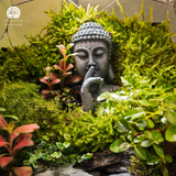 Zen Terrarium Thiền Tuyền Cảnh Bể Đa Giác Trứng