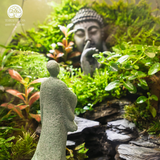 Zen Terrarium Thiền Tuyền Cảnh Bể Đa Giác Trứng