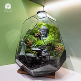 Zen Terrarium Thiền Tuyền Cảnh Bể Đa Giác Trứng