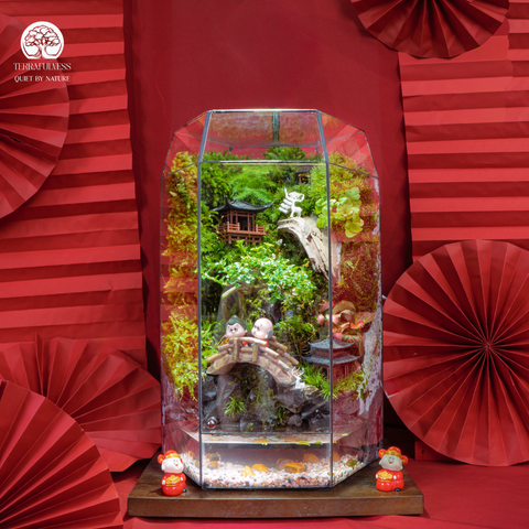 Terrarium Song Lộc Đoàn Viên | Bể Đa Giác Trang Trí Tết An Nhiên