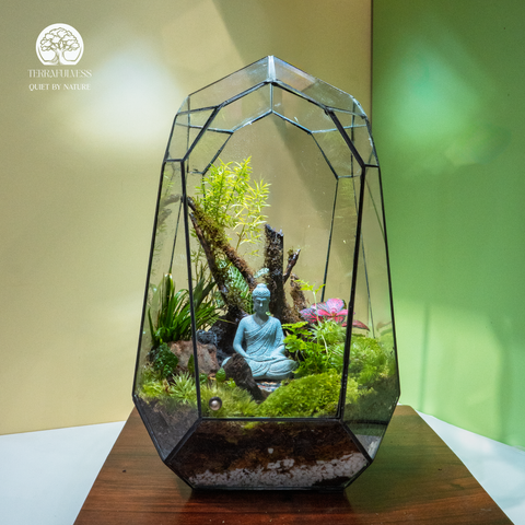 Zen Terrarium Thiền Lâm - Bể Đa Giacs - Decor Không Gian Thiền