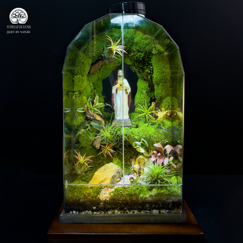 Terrarium Thánh Tâm An Lành - Bể Đa Giác - Trang Trí Không Gian