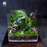 Terrarium
