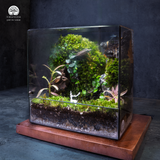 Terrarium