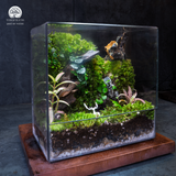 Terrarium