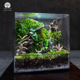 Terrarium