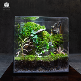 Terrarium