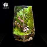 Terrarium