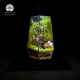 Terrarium