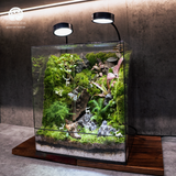 Terrarium
