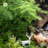 Terrarium