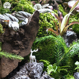 Terrarium