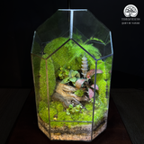 Terrarium