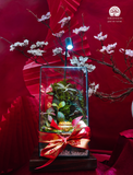 Terrarium có đèn LED trang trí Tết - Không gian xanh thư giãn cho bàn làm việc