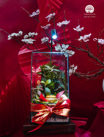 Terrarium - Tĩnh Lâm Đón Xuân - Bể Chữ Nhật Đứng - Trang Trí Không Gian Tết