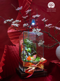 Terrarium có đèn LED trang trí Tết - Không gian xanh thư giãn cho bàn làm việc