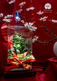 Quà tặng Tết xanh bền vững - Terrarium trang trí phòng khách sang trọng và an yên