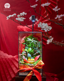 Phụ kiện túi vàng tài lộc và ruy băng thủ công trên quà tặng terrarium Tết Terrafulness