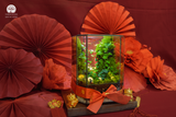 Terrarium Tết